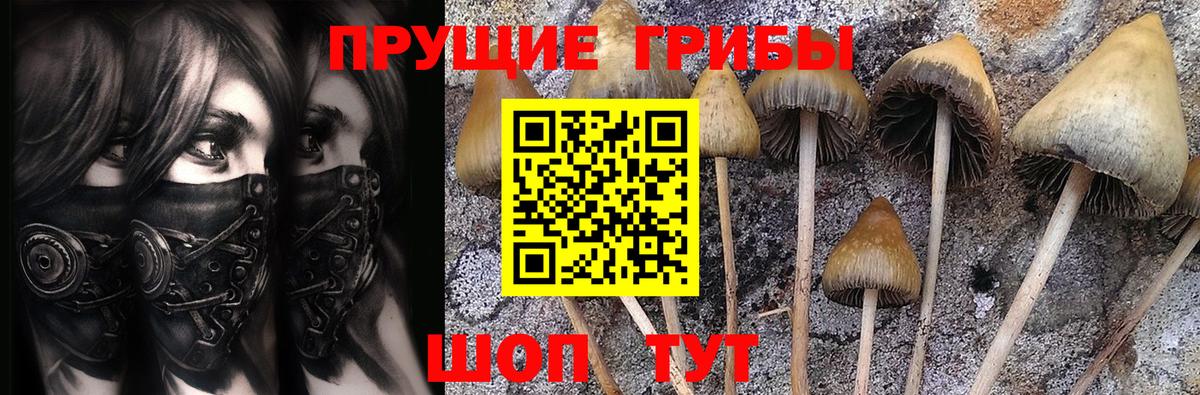 купить наркотики сайты  Псилоцибиновые грибы мицелий  Вход с VPN  Ноябрьск 
