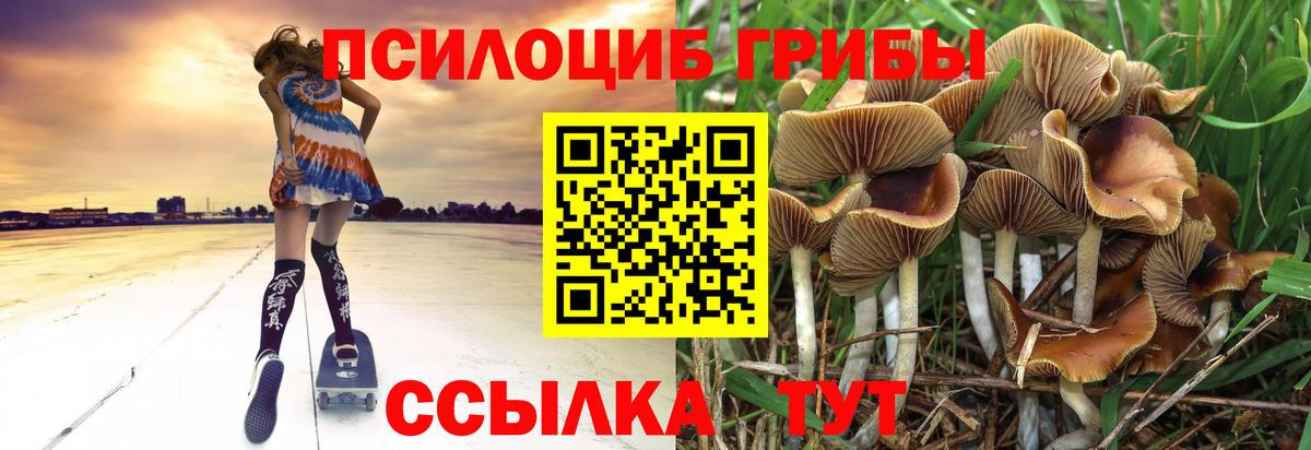 Псилоцибиновые грибы прущие грибы Ноябрьск